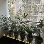 Apartamento à venda com 1 suíte em Vila Polopoli, São Paulo, SP