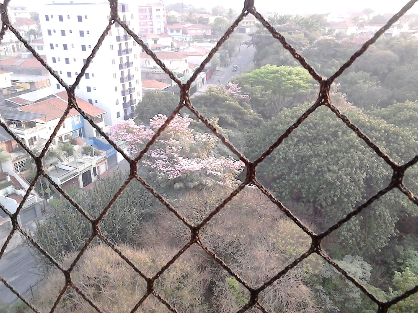 Cobertura à venda com 4 quartos, sendo 1 suíte, em Parque Novo Mundo, São Paulo, SP