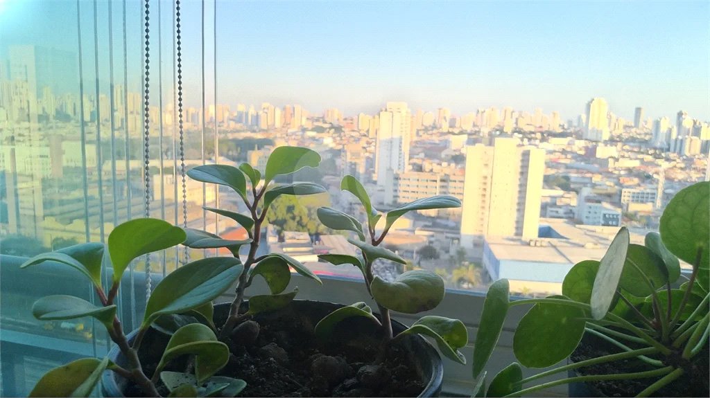 APARTAMENTO A VENDA EM SP BELÉM