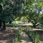 Terreno à venda em Jardim Guaíba, Sorocaba, SP
