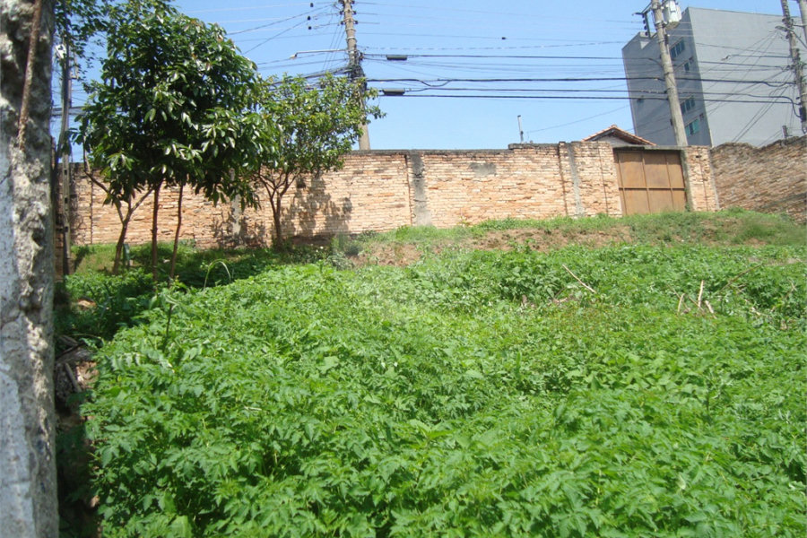 Terreno à venda em Casa Verde, São Paulo, SP