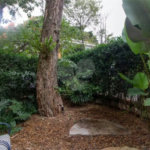 Casa à venda ou para alugar com 4 suítes no condomínio Araucárias, São Paulo - SP