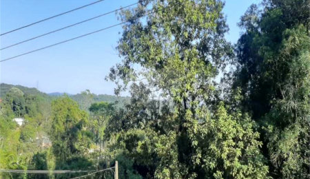 Terreno à venda em Serra da Cantareira, Mairiporã, SP
