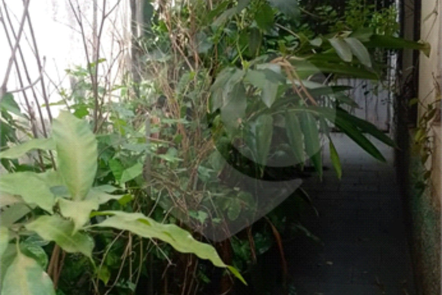 Casa de Vila à venda com 3 quartos, sendo 1 suíte, em Santana, São Paulo, SP