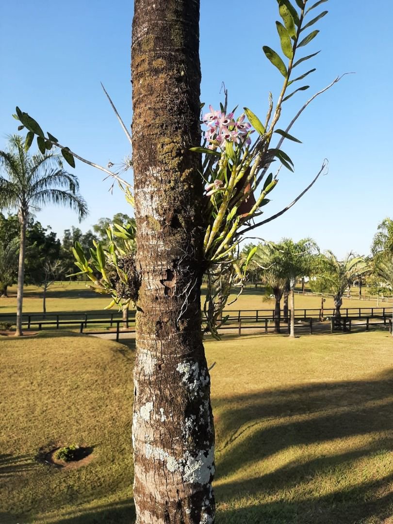 Rancho com 12 dormitórios à venda, 63000 m² por R$ 7.500.000,00 - Condomínio Haras Paineiras - Salto/SP