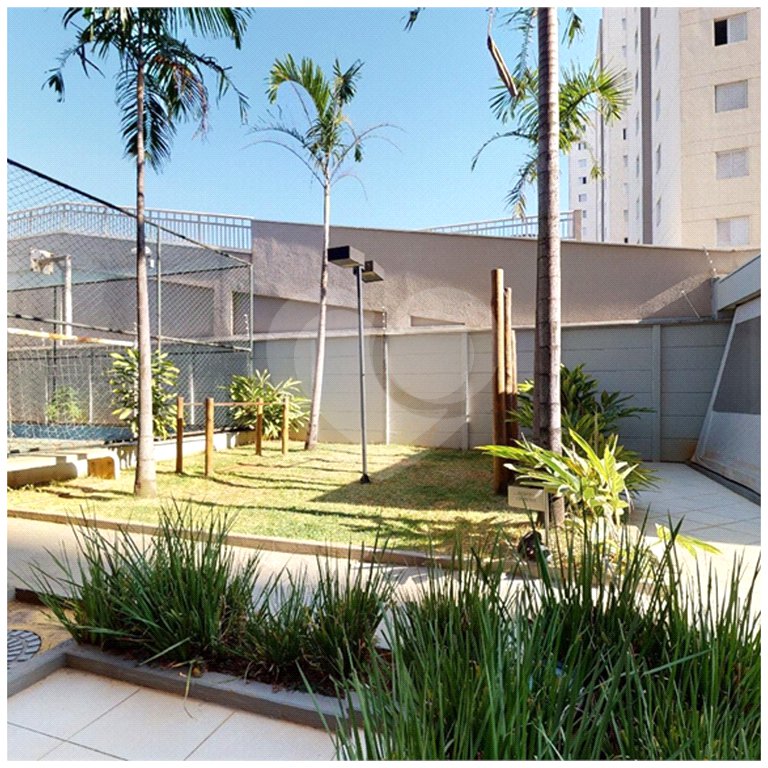 Apartamento à venda com 1 quarto em Cambuci, São Paulo, SP