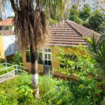 Casa à venda com 1 quarto em Parque Mandaqui, São Paulo, SP