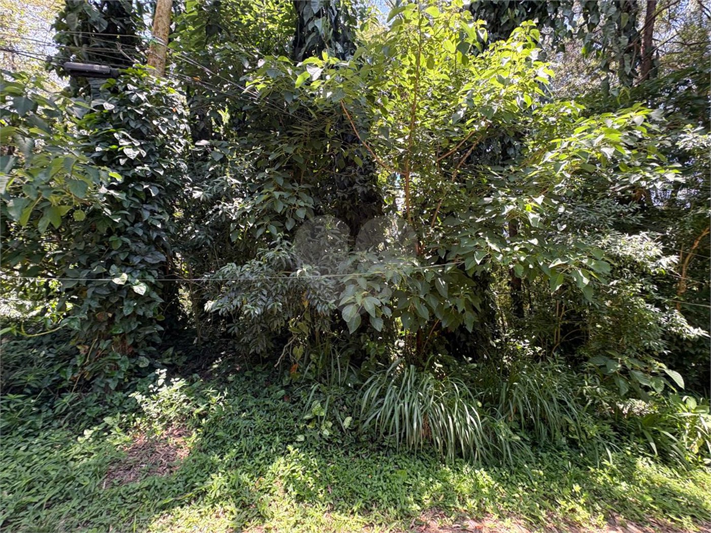 Terreno à venda em Serra da Cantareira, Mairiporã, SP