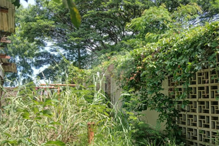 Terreno à venda em Jardim Patriarca, Ribeirão Preto, SP