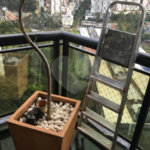 Apartamento à venda com 4 suítes em Paraíso do Morumbi, São Paulo, SP