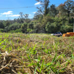 Terreno à venda em Bosque, Vinhedo, SP