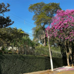 Casa à venda com 5 quartos, sendo 3 suítes, em Morumbi, São Paulo, SP