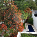 Casa à venda com 3 suítes no condomínio Palm Lane, São Paulo - SP