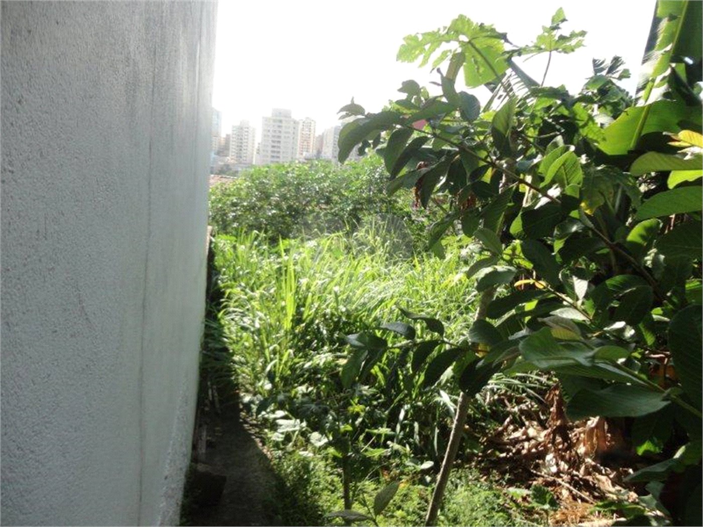 Terreno à venda em Vila São José, Valinhos, SP