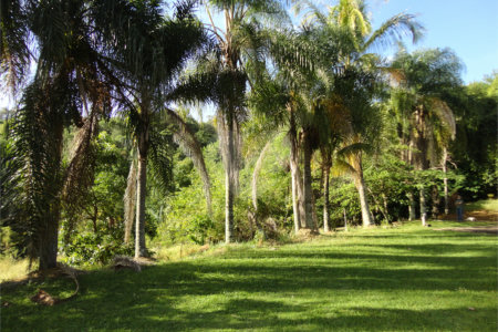 Chácara à venda com 4 suítes em Monte Alegre, Vinhedo, SP