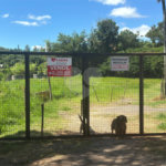 Área de Terra à venda com 1 quarto em Capivari, Louveira, SP