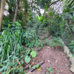 Loteamento à venda em Jardim Amália, São Paulo, SP