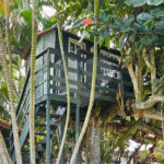 Casa à venda com 5 suítes em Geribá, Armação dos Búzios, RJ