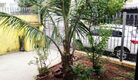 Casa Térrea à venda com 3 quartos, sendo 1 suíte, em Vila Cordeiro, São Paulo, SP