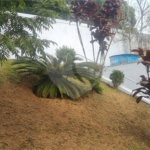 Casa à venda com 5 suítes em Roseira, Mairiporã, SP