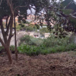Terreno à venda em Vila Romero, São Paulo, SP