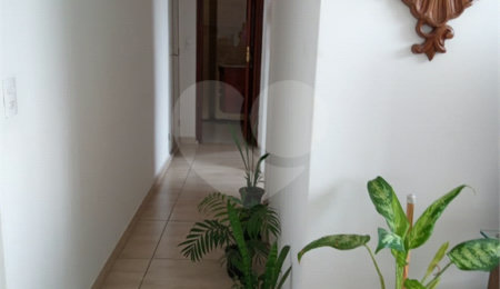 Apartamento à venda com 2 quartos em Vila Guilherme, São Paulo, SP