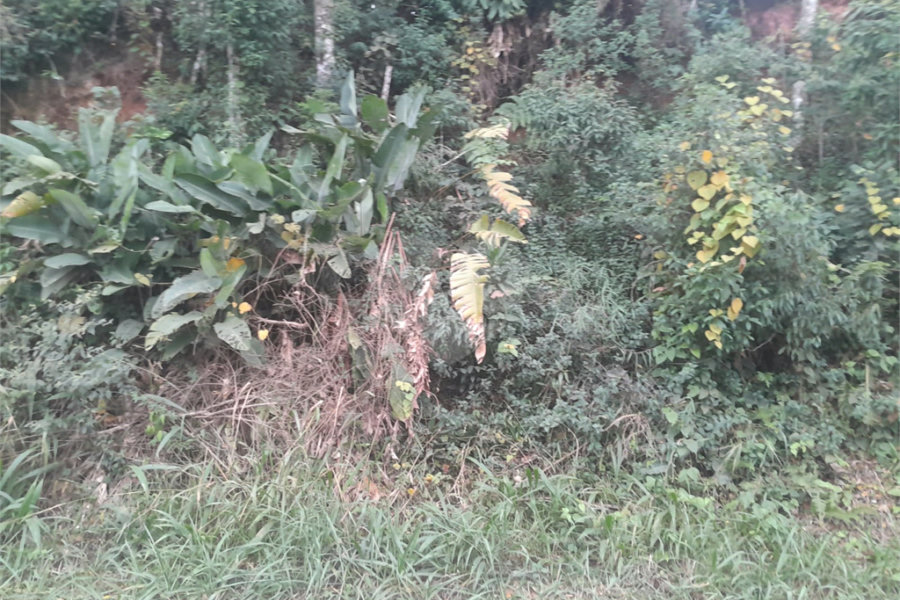 Terreno à venda em Serra da Cantareira, Mairiporã, SP