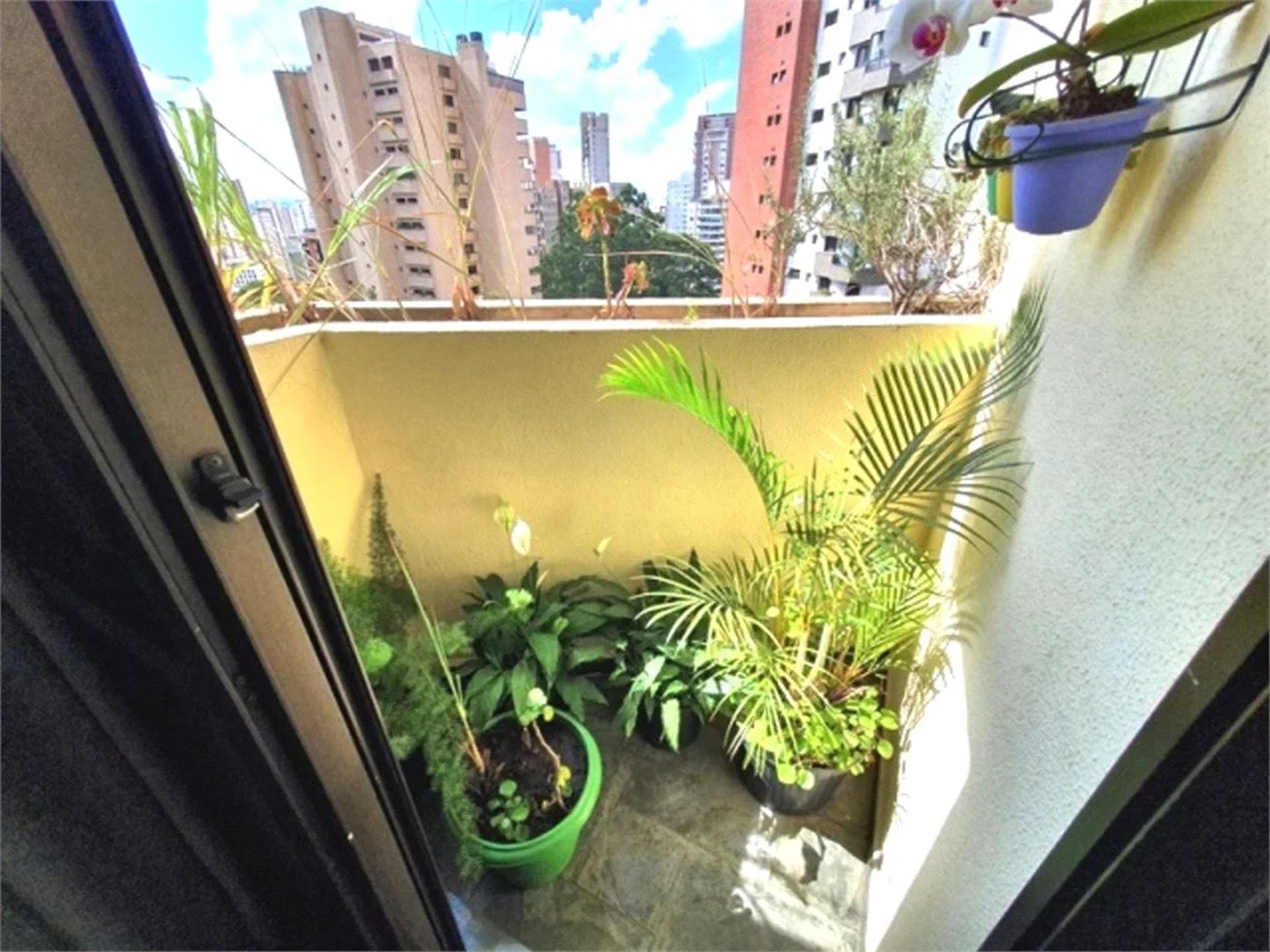 Apartamento à venda com 3 quartos, sendo 1 suíte, em Vila Suzana, São Paulo, SP