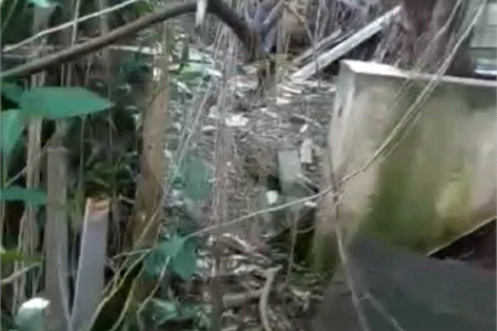 Terreno à venda com 1 quarto em Chora Menino, São Paulo, SP