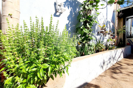 Casa à venda com 2 quartos, sendo 1 suíte, em Vila Albertina, Ribeirão Preto, SP