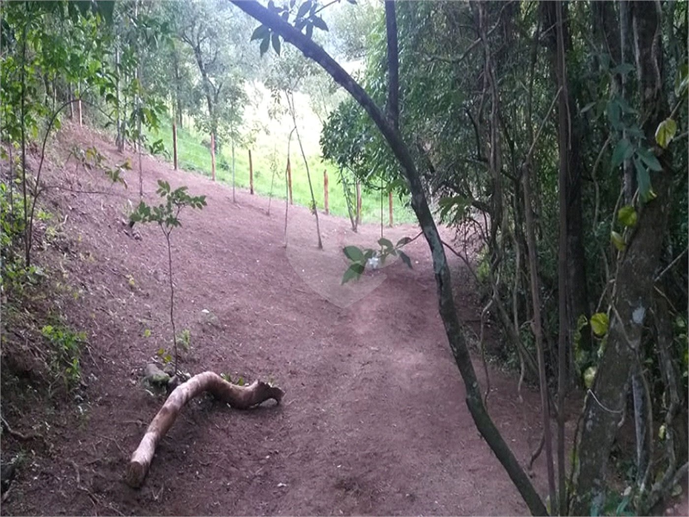 Sítio à venda no Centro, Monte Sião, MG