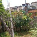 Casa Térrea à venda com 3 quartos em Casa Verde, São Paulo, SP