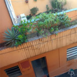 Casa à venda com 3 quartos em Parada Inglesa, São Paulo, SP