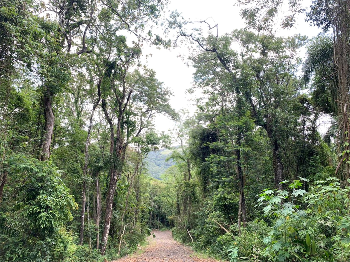 Terreno à venda no condomínio Sausalito, Mairiporã - SP