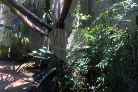 Sobrado à venda com 4 quartos, sendo 1 suíte, em Jardim Novo Mundo, São Paulo, SP