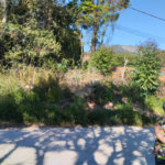 Terreno à venda em Capoavinha, Mairiporã, SP