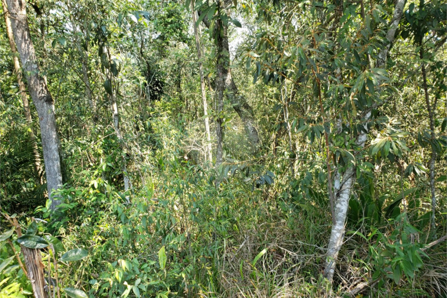 Terreno à venda no condomínio Residencial Cerros Verdes, Mairiporã - SP