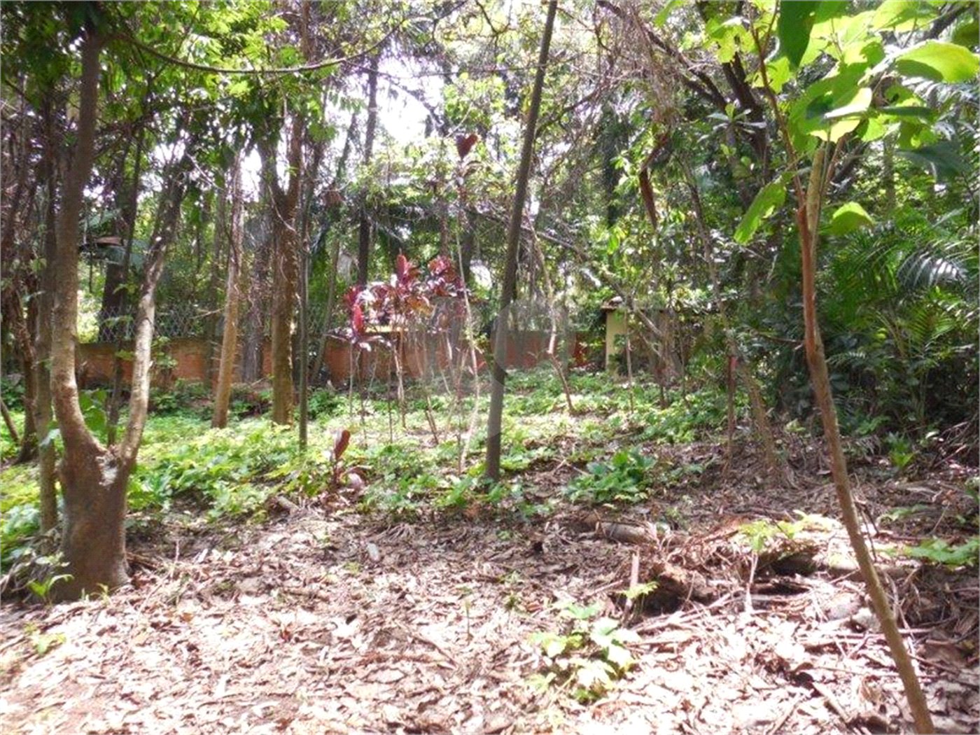Terreno à venda em Alto da Boa Vista, São Paulo, SP