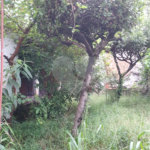 Casa à venda com 4 quartos, sendo 3 suítes, em Vila Guilherme, São Paulo, SP
