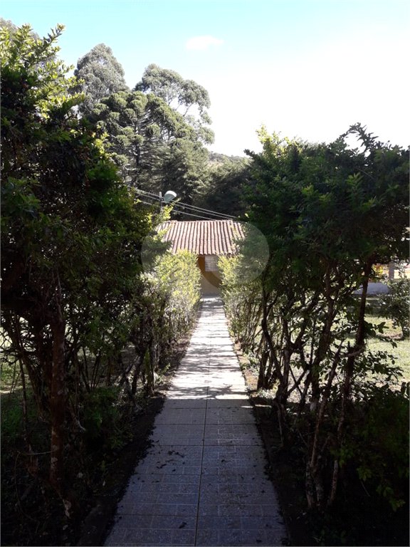 Chácara à venda com 8 quartos, sendo 3 suítes, no Centro, Toledo, MG