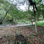 Terreno à venda em Jardim Ampliação, São Paulo, SP