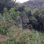 Terreno à venda no condomínio Sausalito, Mairiporã - SP