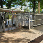 Apartamento à venda com 3 quartos em Vila Andrade, São Paulo, SP