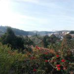 Casa Térrea à venda com 3 quartos, sendo 1 suíte, em Mirante do Cachoeira, Piracaia, SP