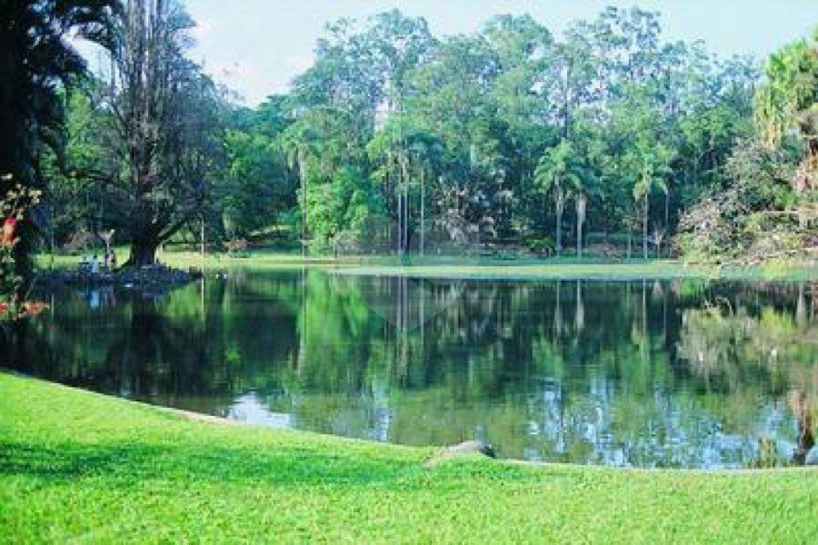 Terreno à venda em Horto Florestal, São Paulo, SP