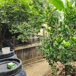 CHÁCARA A VENDA NO BAIRRO CAPUAVA COM 3 DORMITÓRIOS, 1 SUÍTE, 2 VAGAS, 600M², SÃO JOSÉ DOS CAMPOS/SP