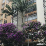 Apartamento à venda no bairro Bela Vista.