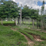 Sitio para venda.
