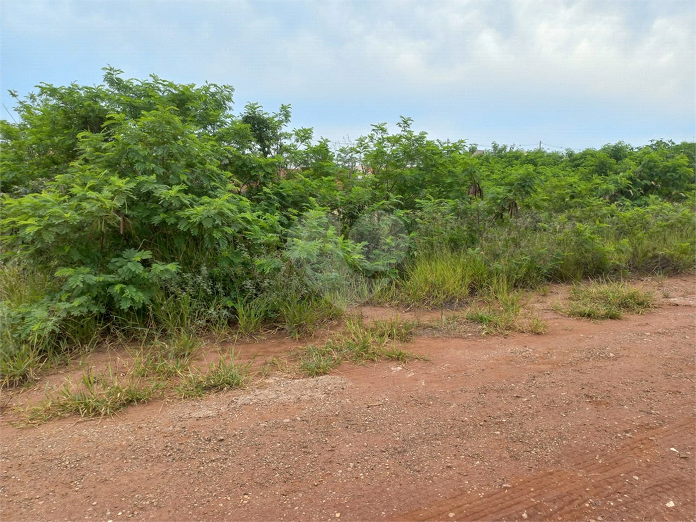 Terreno plano dispondo de 150,00 m² de área total