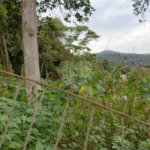 Terreno à venda em Barro Branco (zona Norte), São Paulo, SP